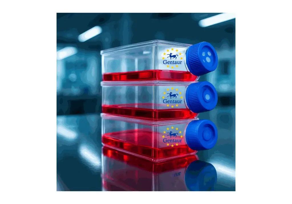 Primary AEC Cell, Dog