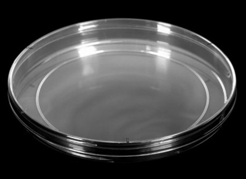 150 x 15 mm Slippable Rimless Petri Dish, Polished Polystyrene, RNase and DNase Free, STERILE