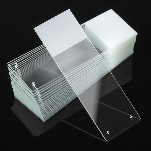 Positive Charged White Glass Microscope Slides, Color Frosted for Histology & Pathology