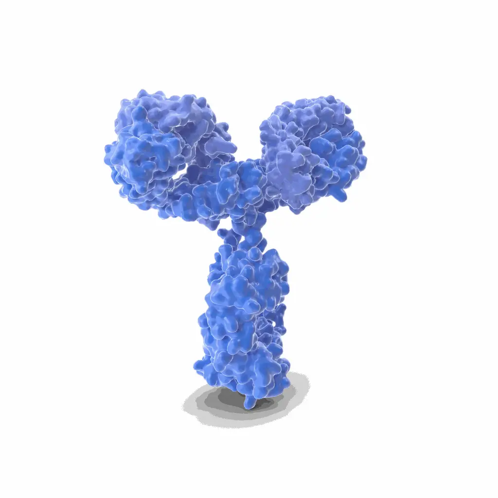 Gentaur ATTO 594 Antibody
