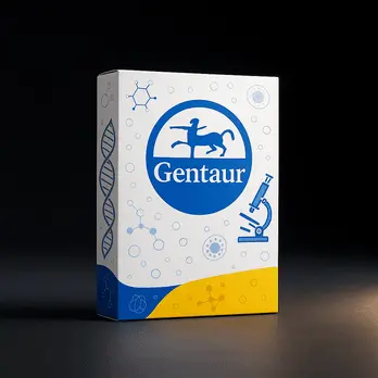 Gentaur pH 11.00 Buffer Solution at 25°C - 1l