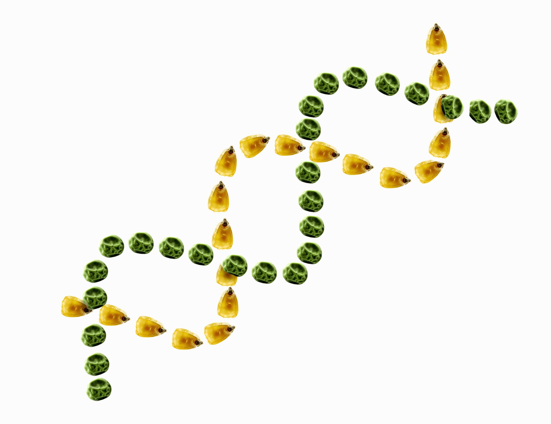 Genome Context